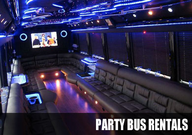 birthday party bus rental