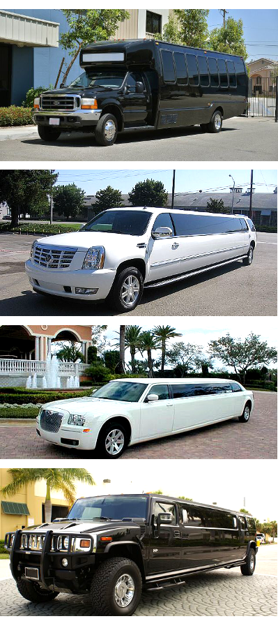 Party Buses and Limos Alabama